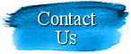 Art Time Party Contact Link Button