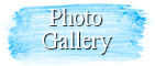 Art Time Party Photo Gallery Link Button